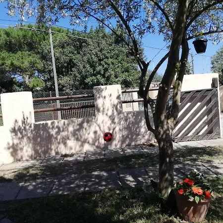Nico 12 * Capitana