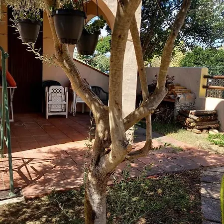 Holiday home Nico 12 *