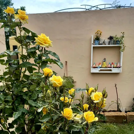 Nico 12 Holiday home